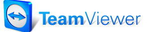 teamviewer-assistenza
